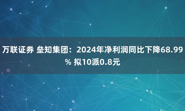 万联证券 垒知集团:2024年净利润同比下降68.99% 拟10派0.8元