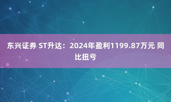 东兴证券 ST升达:2024年盈利1199.87万元 同比扭亏