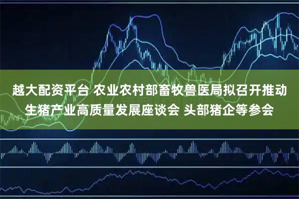越大配资平台 农业农村部畜牧兽医局拟召开推动生猪产业高质量发展座谈会 头部猪企等参会