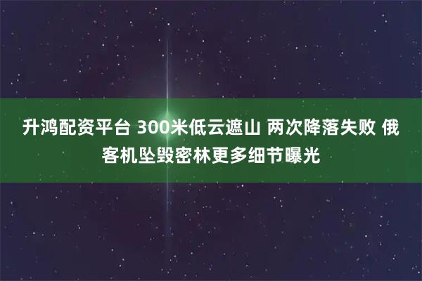 升鸿配资平台 300米低云遮山 两次降落失败 俄客机坠毁密林更多细节曝光